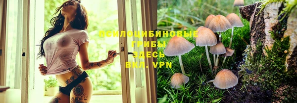 PSILOCYBIN Заволжск