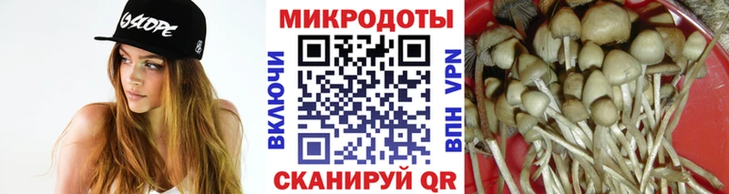Купить  Мончегорск  Псилоцибиновые грибы Psilocybine cubensis 